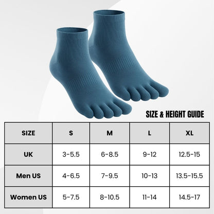 Alpine Run System™